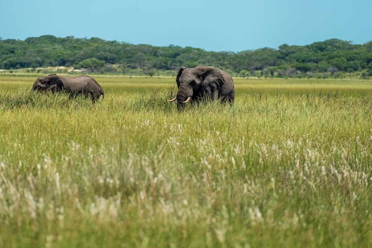 Montebelo Milibangalala Bay Resort Maputo Zewnętrze zdjęcie